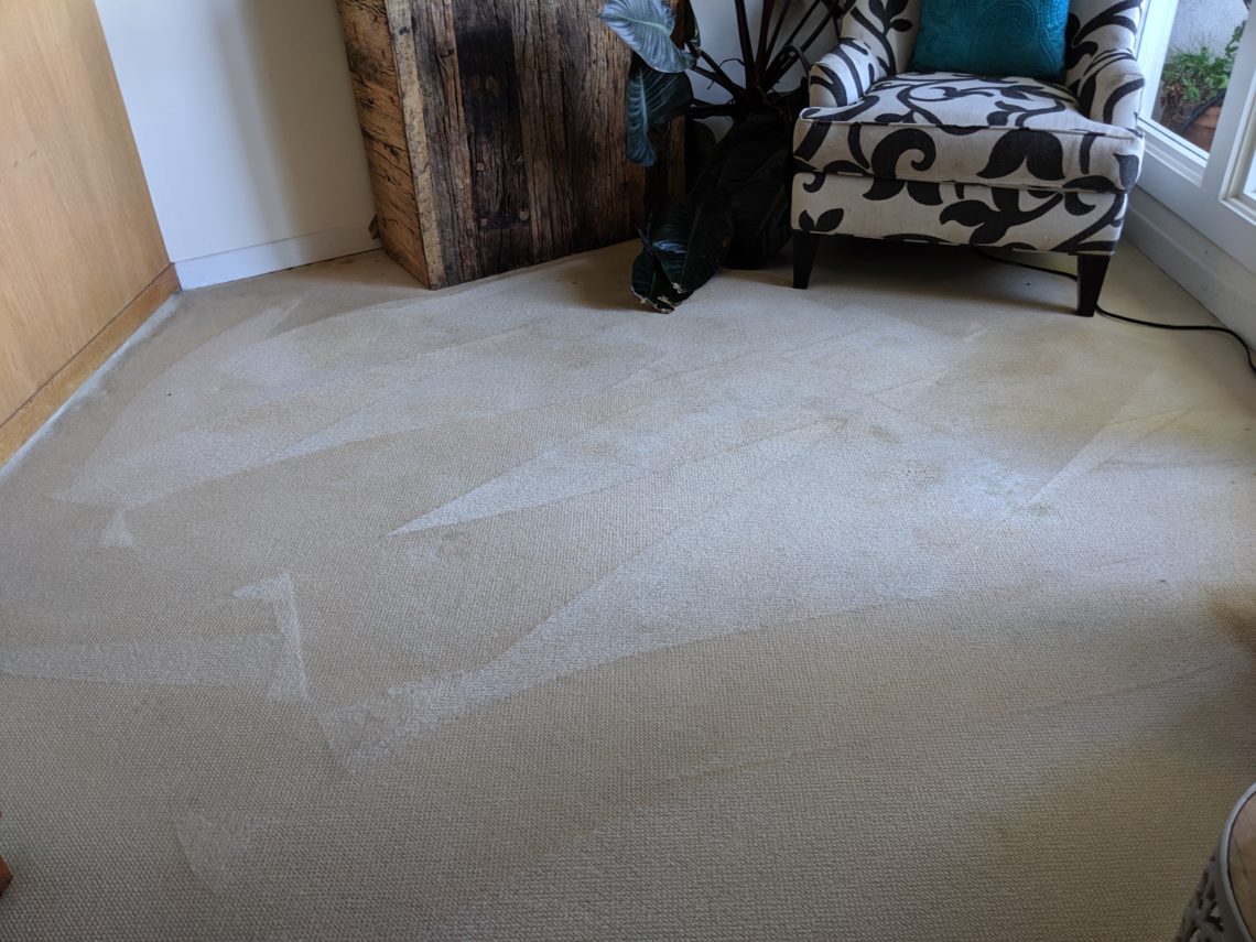 HOME & GARDEN FEATURE The Greenest, Most Effective Carpet Cleaner