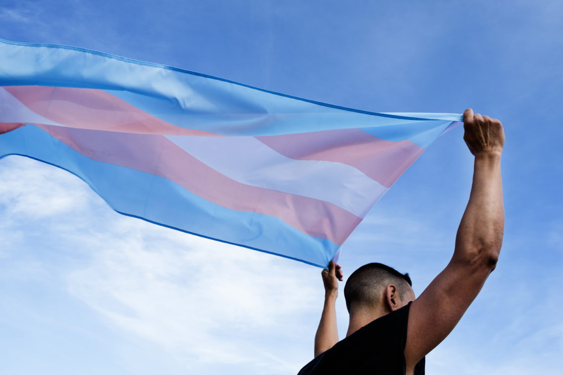 Trans Flag Emoji Unveiled for More CyberInclusion  The Pride LA