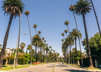 California’s Dichotomy: Rising Numbers of Ultra-Rich Residents Amidst Deepening Inequality
