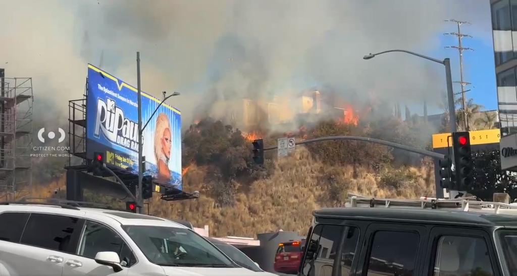 LAFD Contains West Hollywood House and Brush Fire on Sunset Boulevard Amid Red Flag Warning